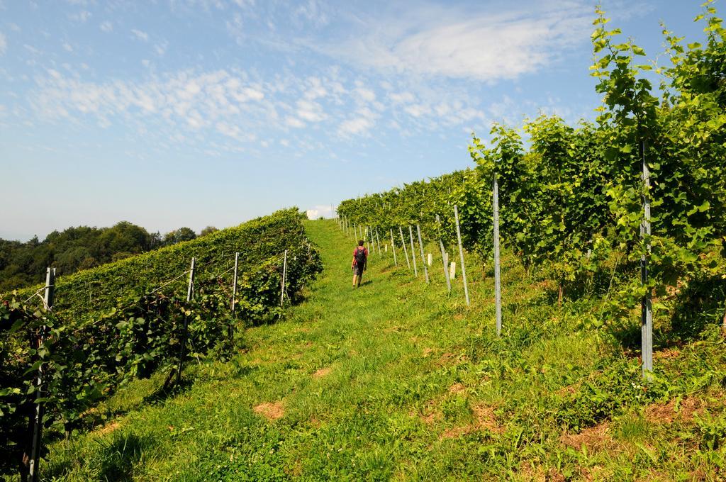 Weingut Winzerzimmer Rothschaedl Leutschach Exterior foto