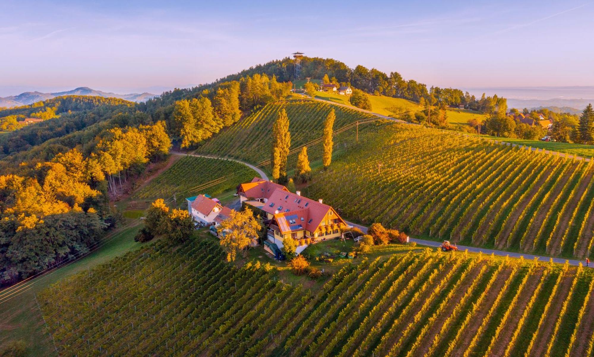 Weingut Winzerzimmer Rothschaedl Leutschach Exterior foto