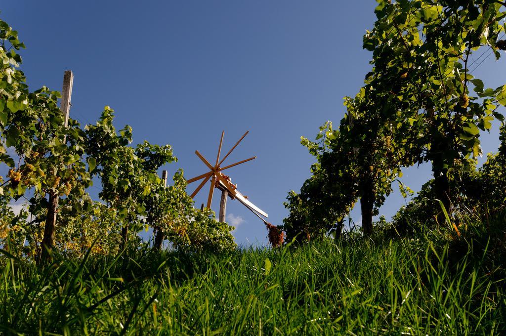 Weingut Winzerzimmer Rothschaedl Leutschach Exterior foto