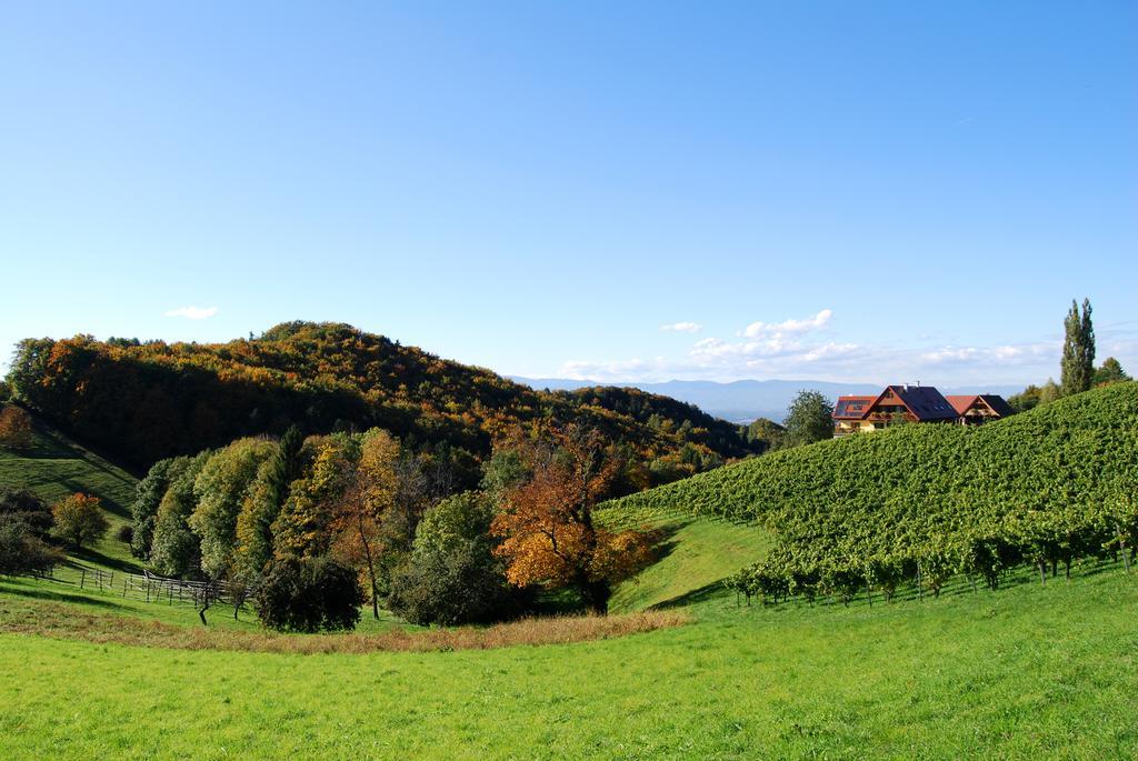 Weingut Winzerzimmer Rothschaedl Leutschach Exterior foto